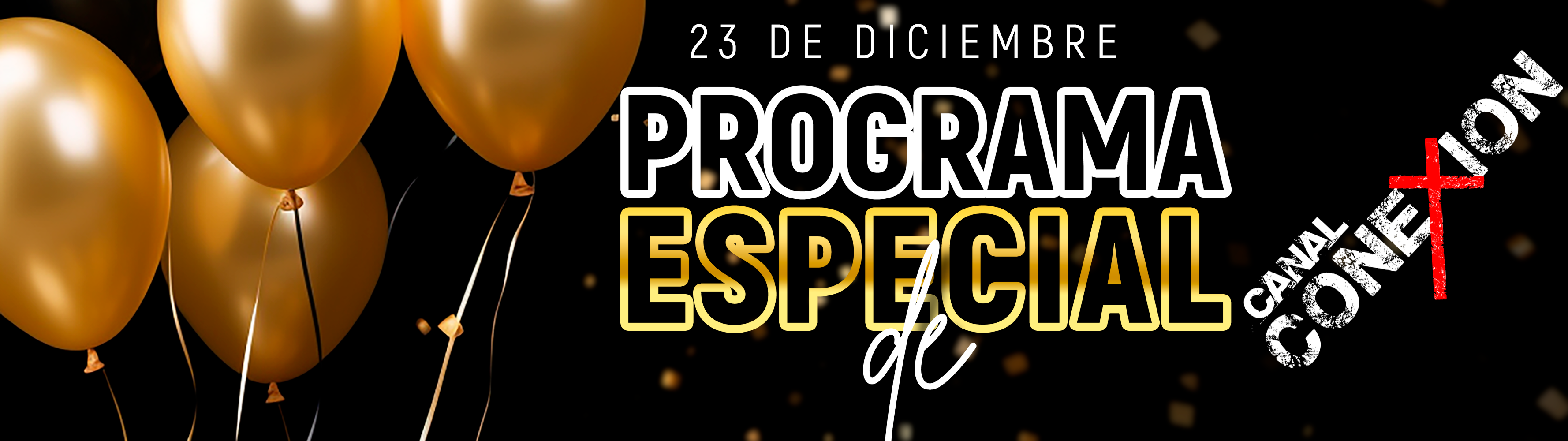 PROGRAMA ESPECIAL